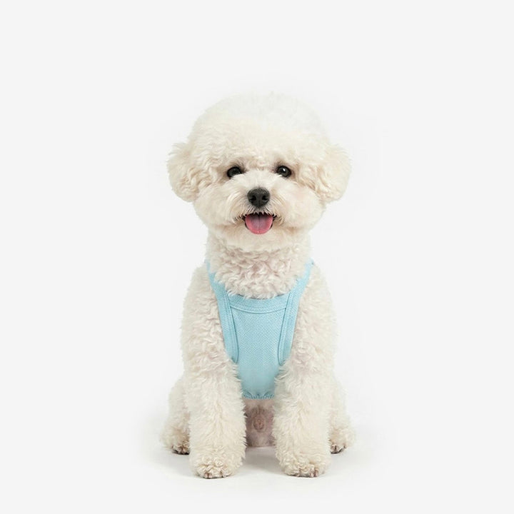 即納【TUSTUS】Cool Top（Mint Blue）