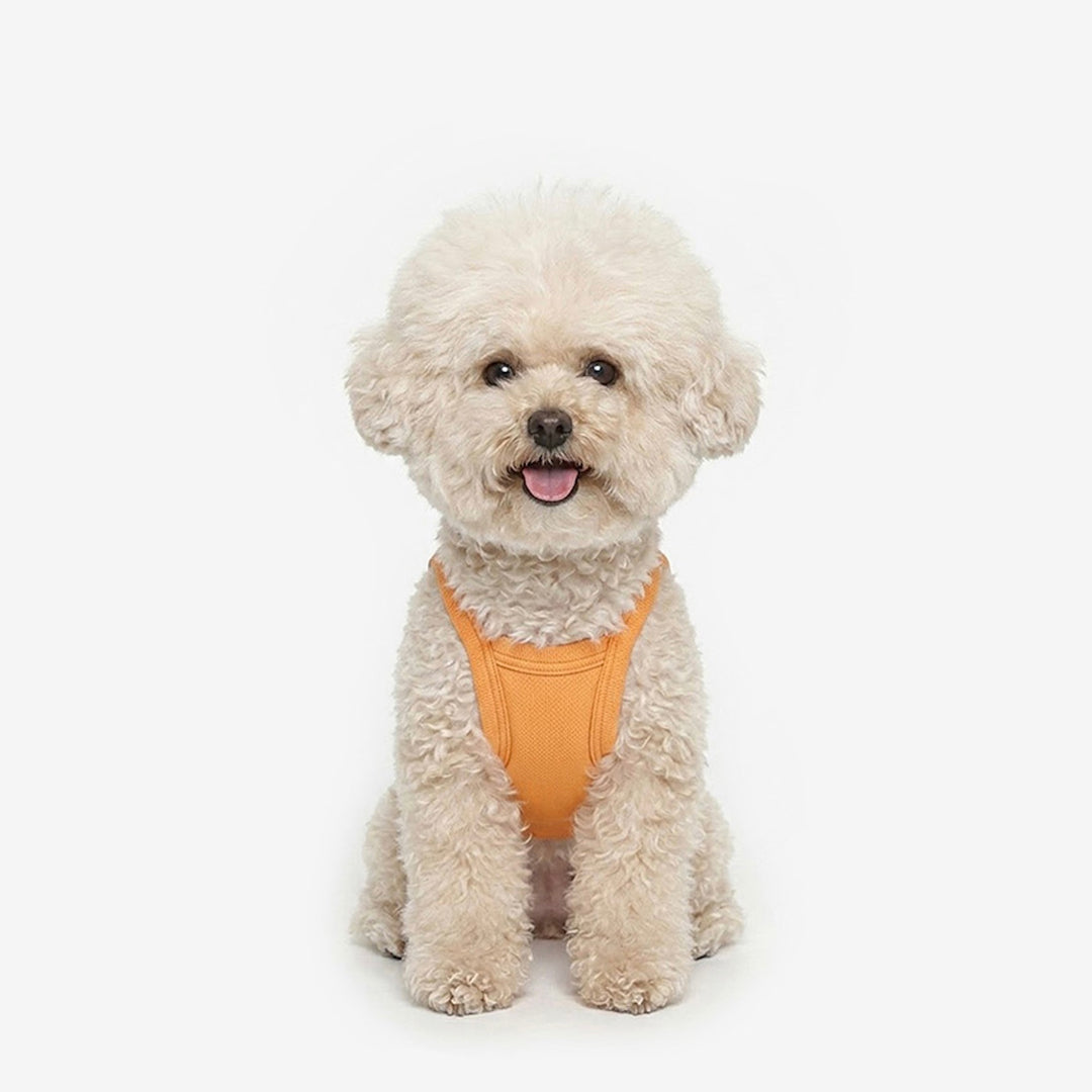 即納【TUSTUS】Cool Top（Orange）