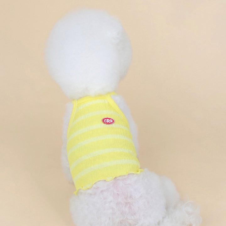 ※予約販売【CRR】Frail Strap Top（Yellow）