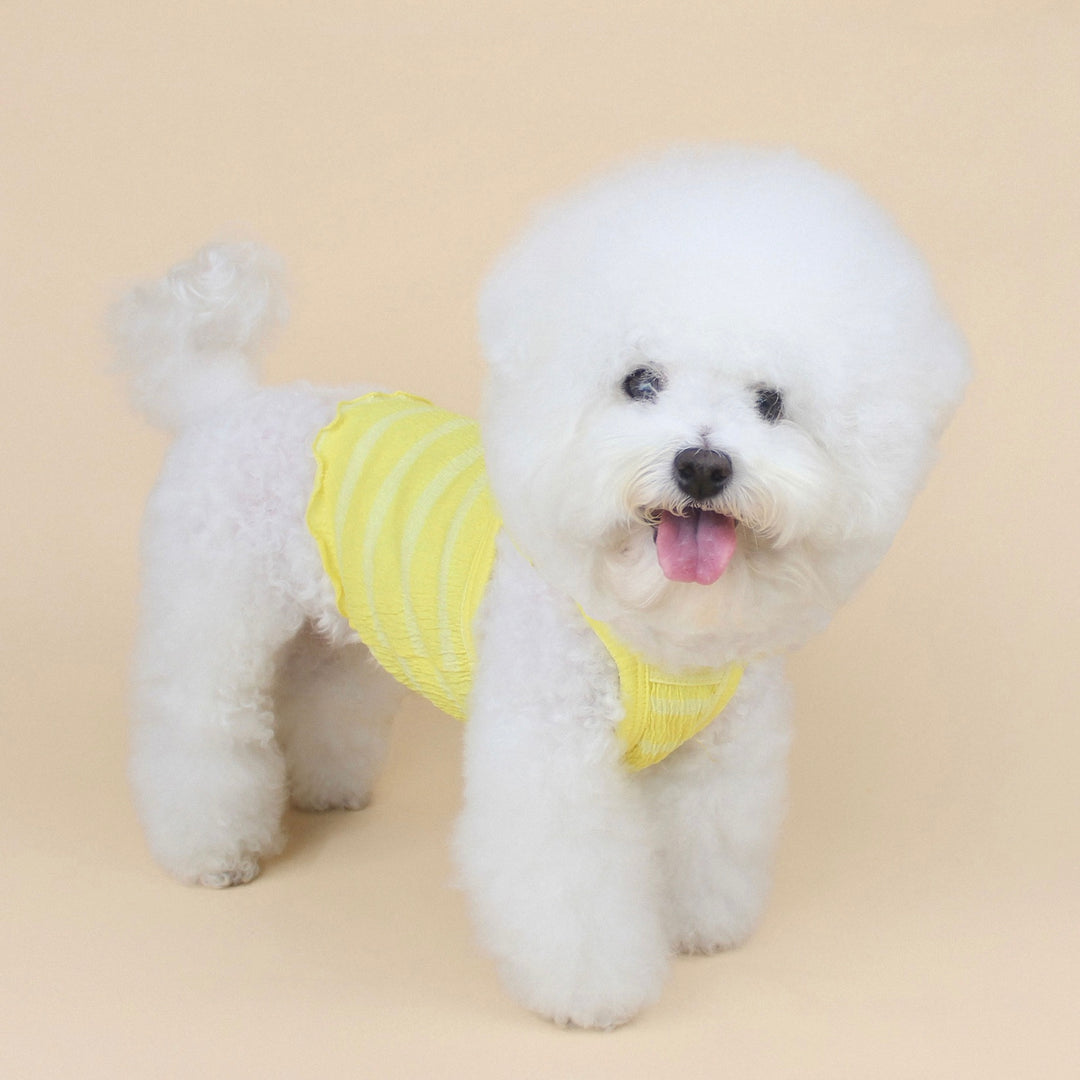 ※予約販売【CRR】Frail Strap Top（Yellow）
