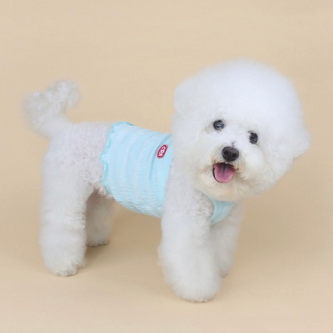 ※予約販売【CRR】Frail Strap Top（Sky）
