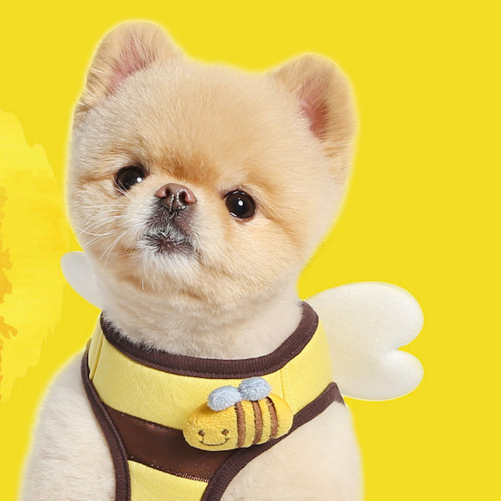 ※予約販売【ITS DOG】Honeybee Harness