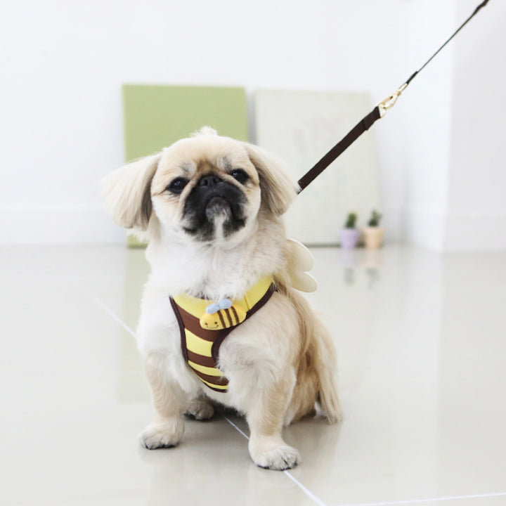 ※予約販売【ITS DOG】Honeybee Harness