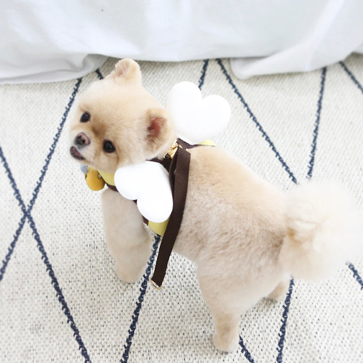 ※予約販売【ITS DOG】Honeybee Harness