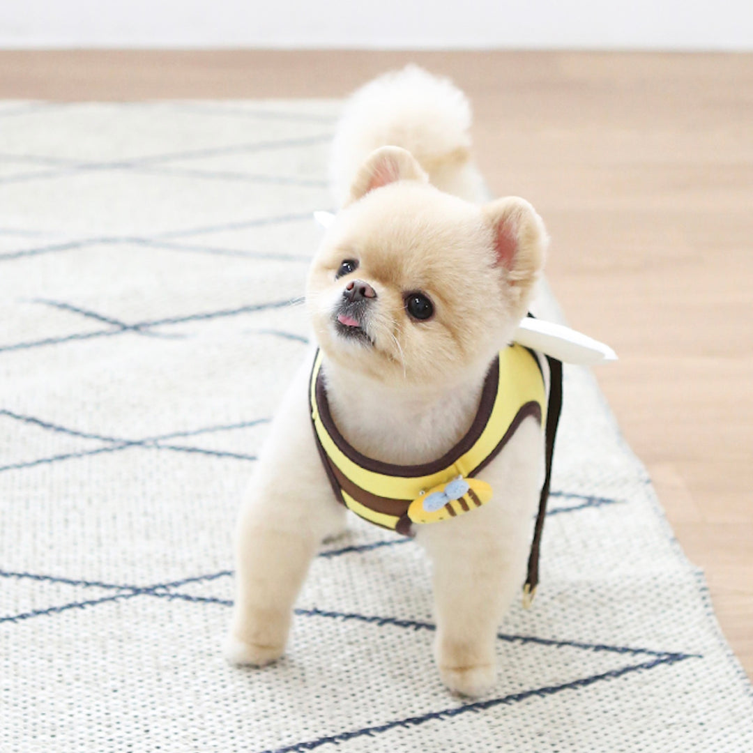 ※予約販売【ITS DOG】Honeybee Harness