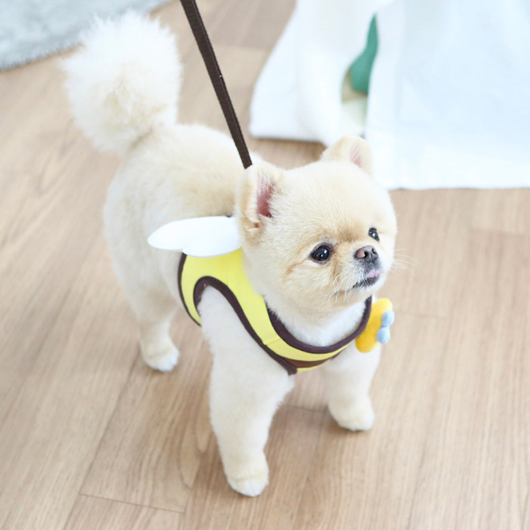 ※予約販売【ITS DOG】Honeybee Harness