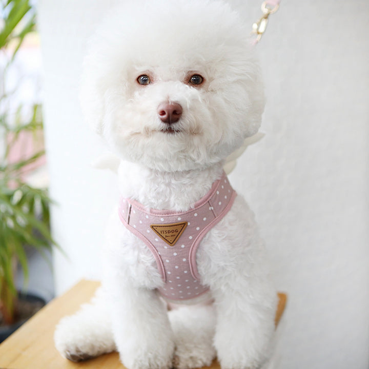 ※予約販売【ITS DOG】Sweetie Angel Harness（Pink）