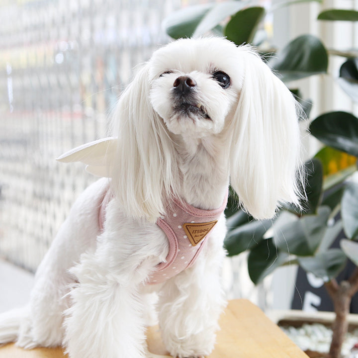 ※予約販売【ITS DOG】Sweetie Angel Harness（Pink）