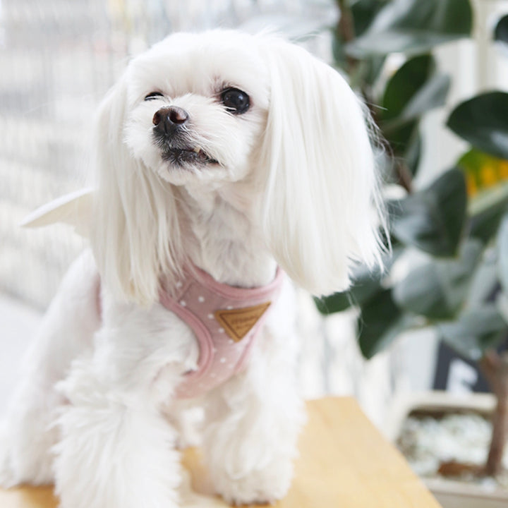 ※予約販売【ITS DOG】Sweetie Angel Harness（Pink）