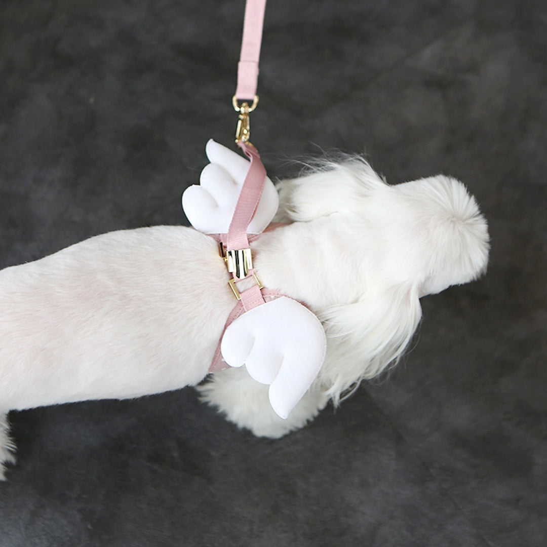 ※予約販売【ITS DOG】Sweetie Angel Harness（Pink）