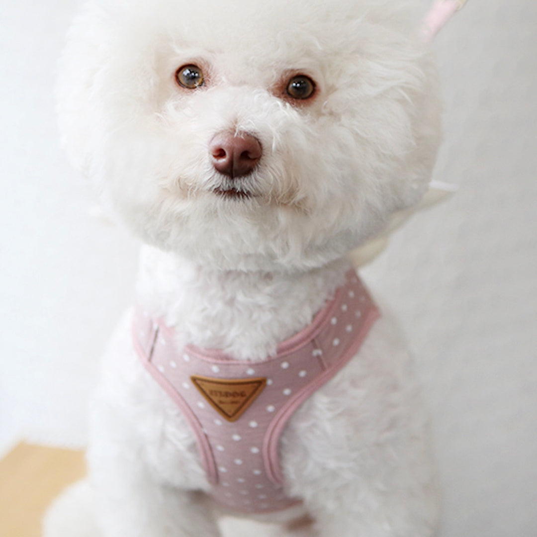 ※予約販売【ITS DOG】Sweetie Angel Harness（Pink）