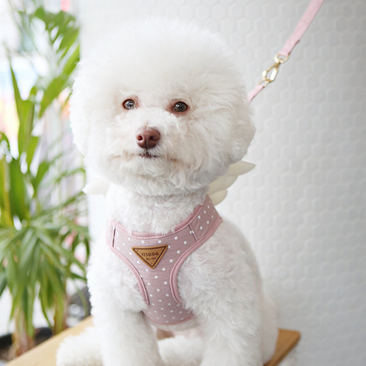 ※予約販売【ITS DOG】Sweetie Angel Harness（Pink）