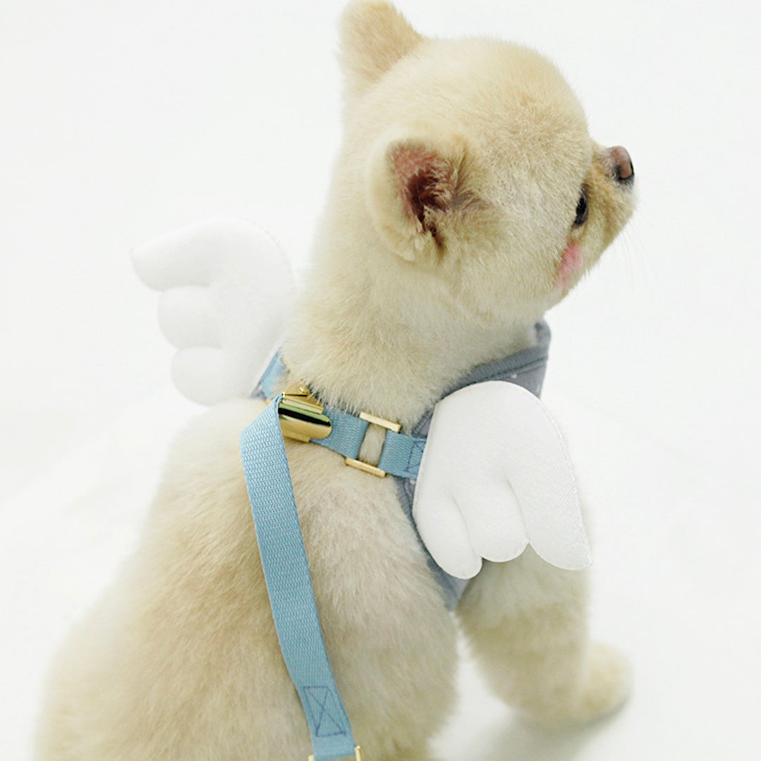 ※予約販売【ITS DOG】Sweetie Angel Harness（Blue）
