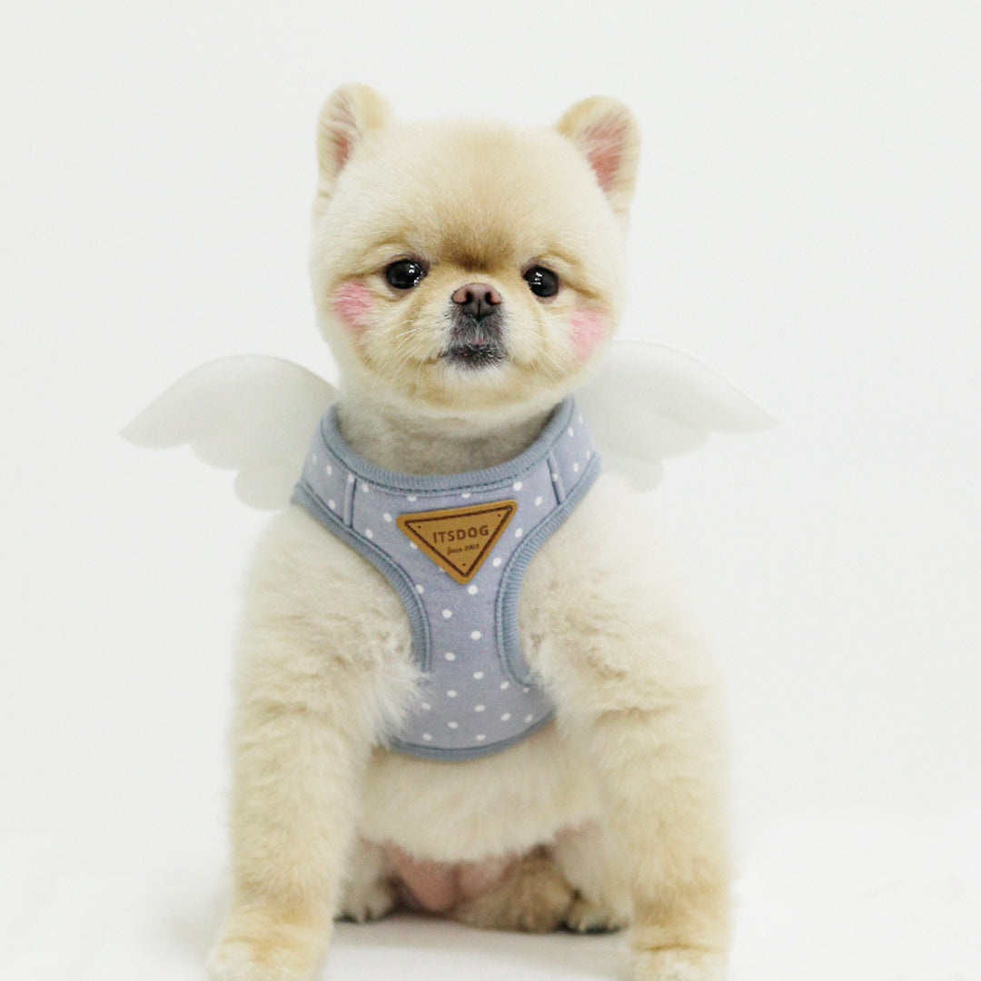 ※予約販売【ITS DOG】Sweetie Angel Harness（Blue）