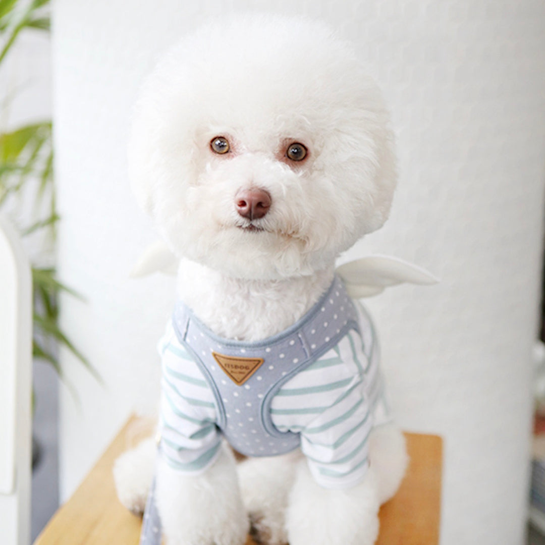 ※予約販売【ITS DOG】Sweetie Angel Harness（Blue）