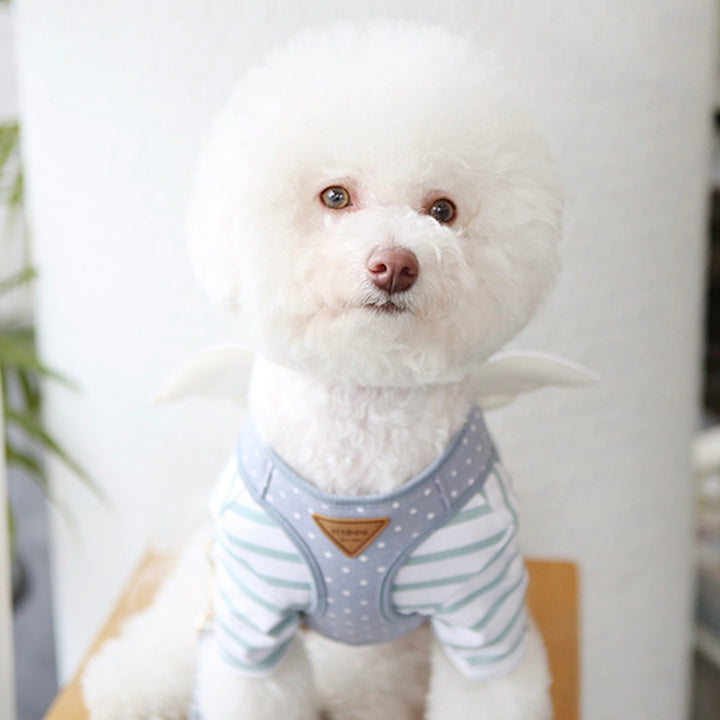 ※予約販売【ITS DOG】Sweetie Angel Harness（Blue）