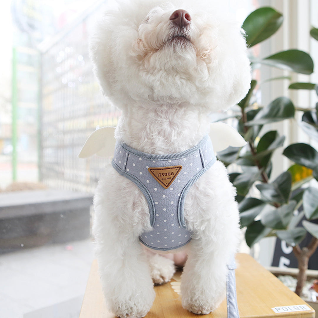 ※予約販売【ITS DOG】Sweetie Angel Harness（Blue）