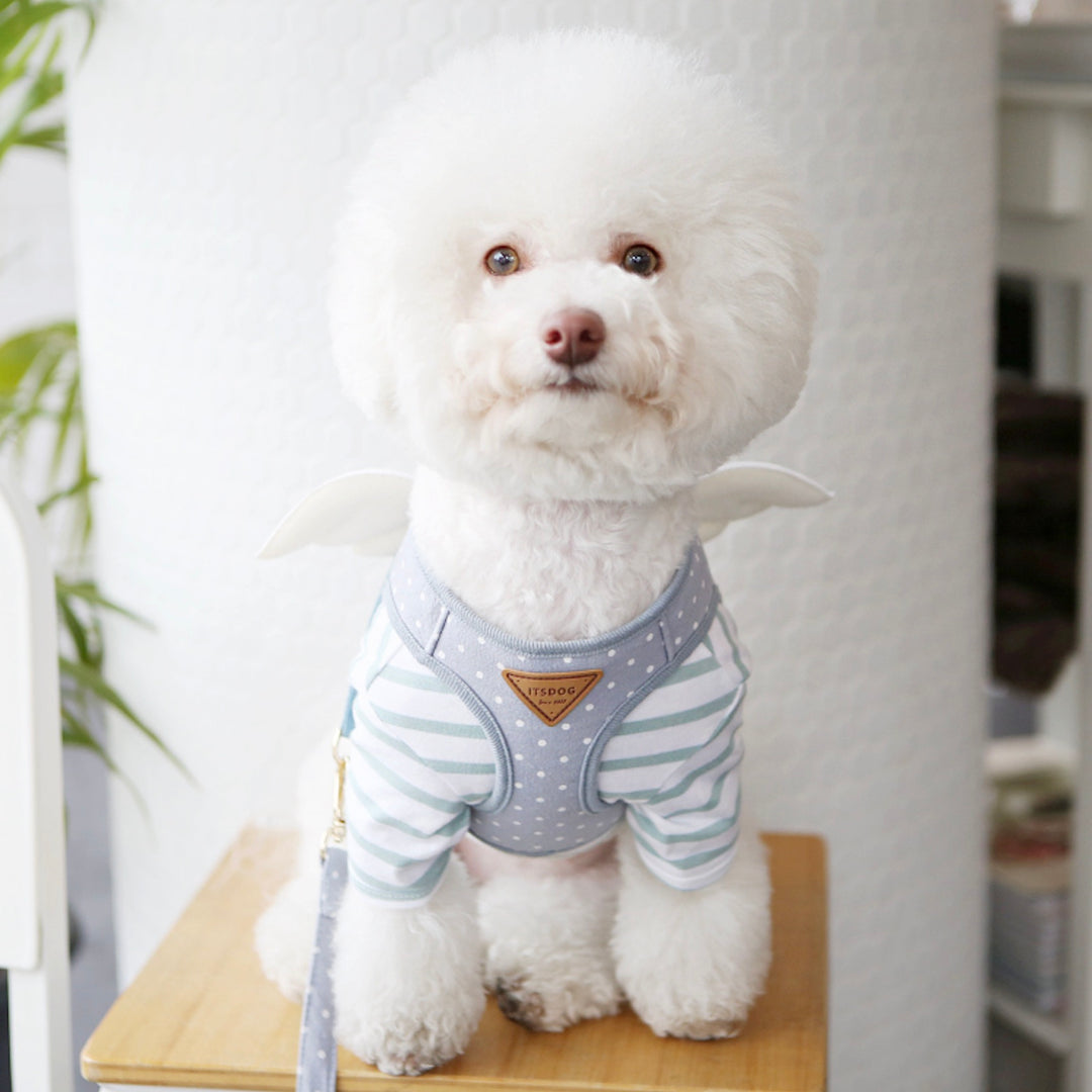 ※予約販売【ITS DOG】Sweetie Angel Harness（Blue）