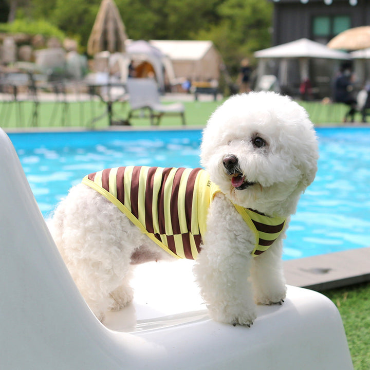 ※予約販売【ITS DOG】Honeybee Rash Guard