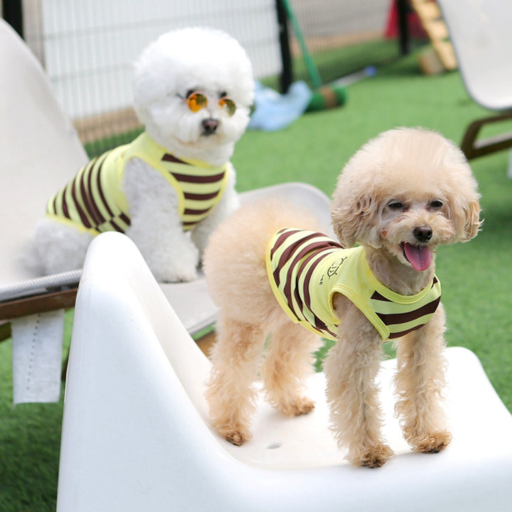 ※予約販売【ITS DOG】Honeybee Rash Guard