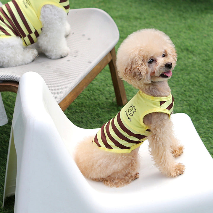 ※予約販売【ITS DOG】Honeybee Rash Guard