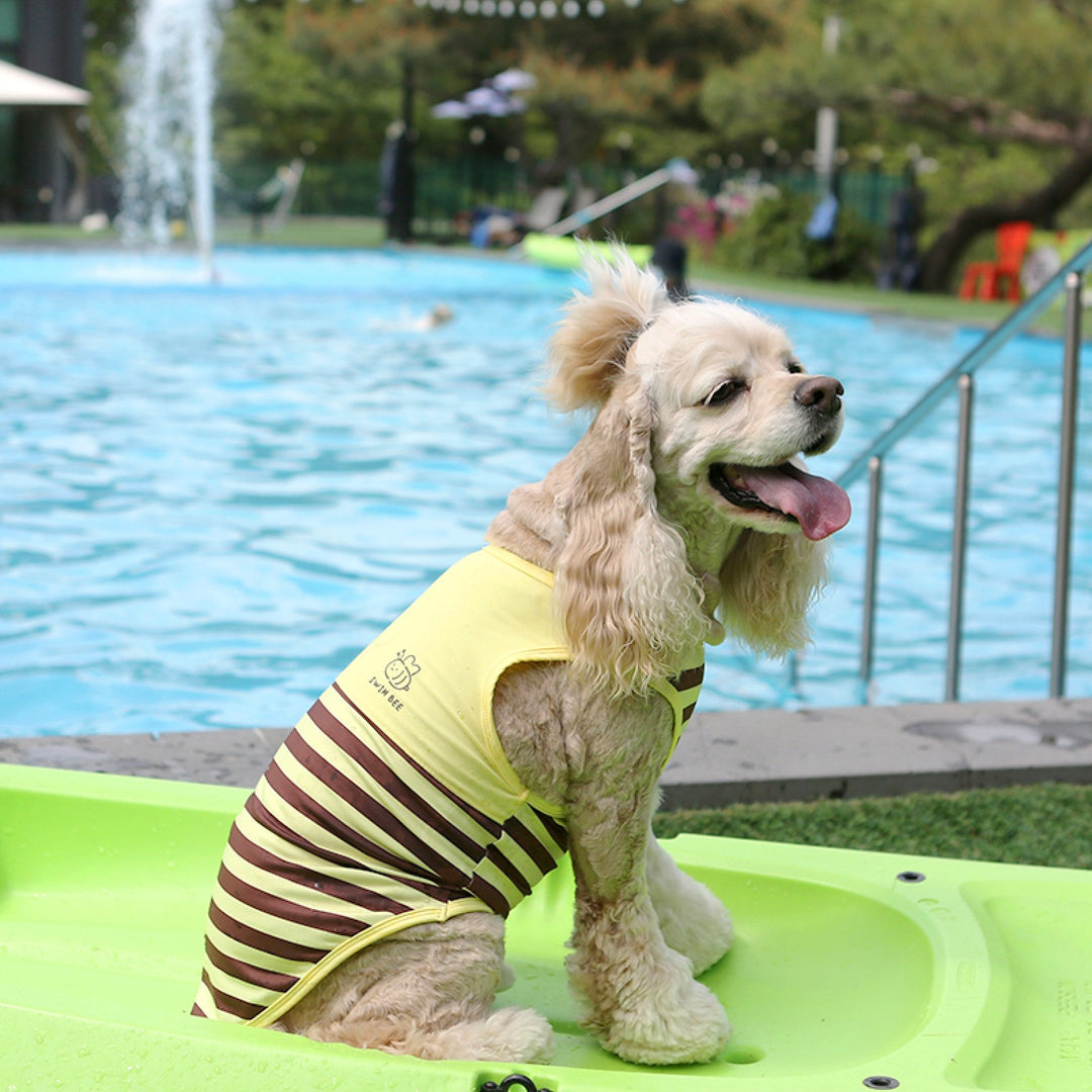※予約販売【ITS DOG】Honeybee Rash Guard
