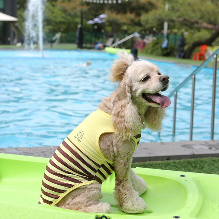 ※予約販売【ITS DOG】Honeybee Rash Guard