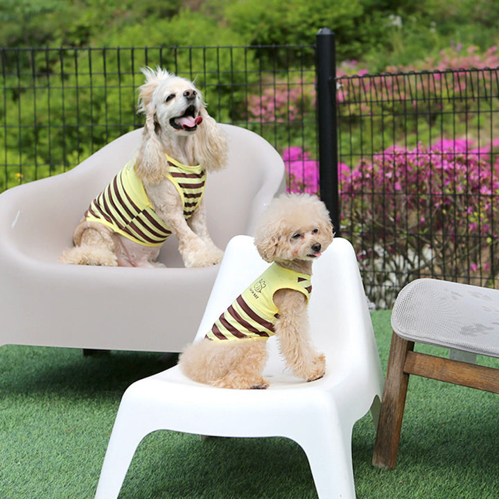 ※予約販売【ITS DOG】Honeybee Rash Guard
