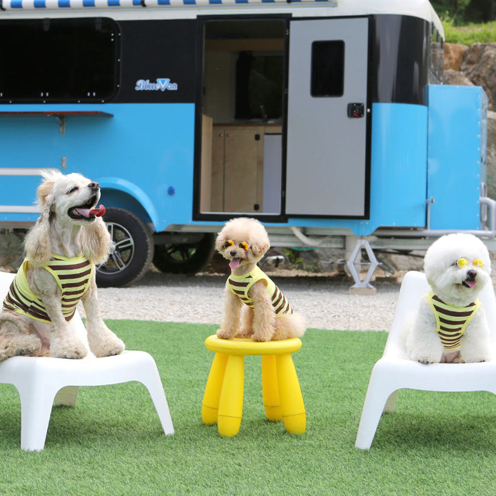 ※予約販売【ITS DOG】Honeybee Rash Guard