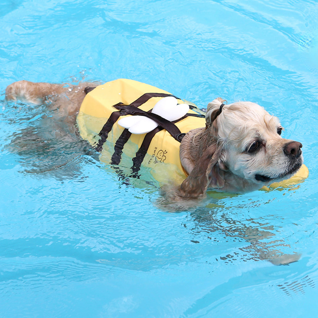※予約販売【ITS DOG】Honeybee Life Jacket