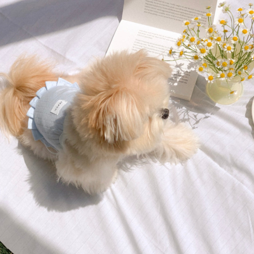 ※予約販売【OUNCE】Milk Frill Crop T（Blue）