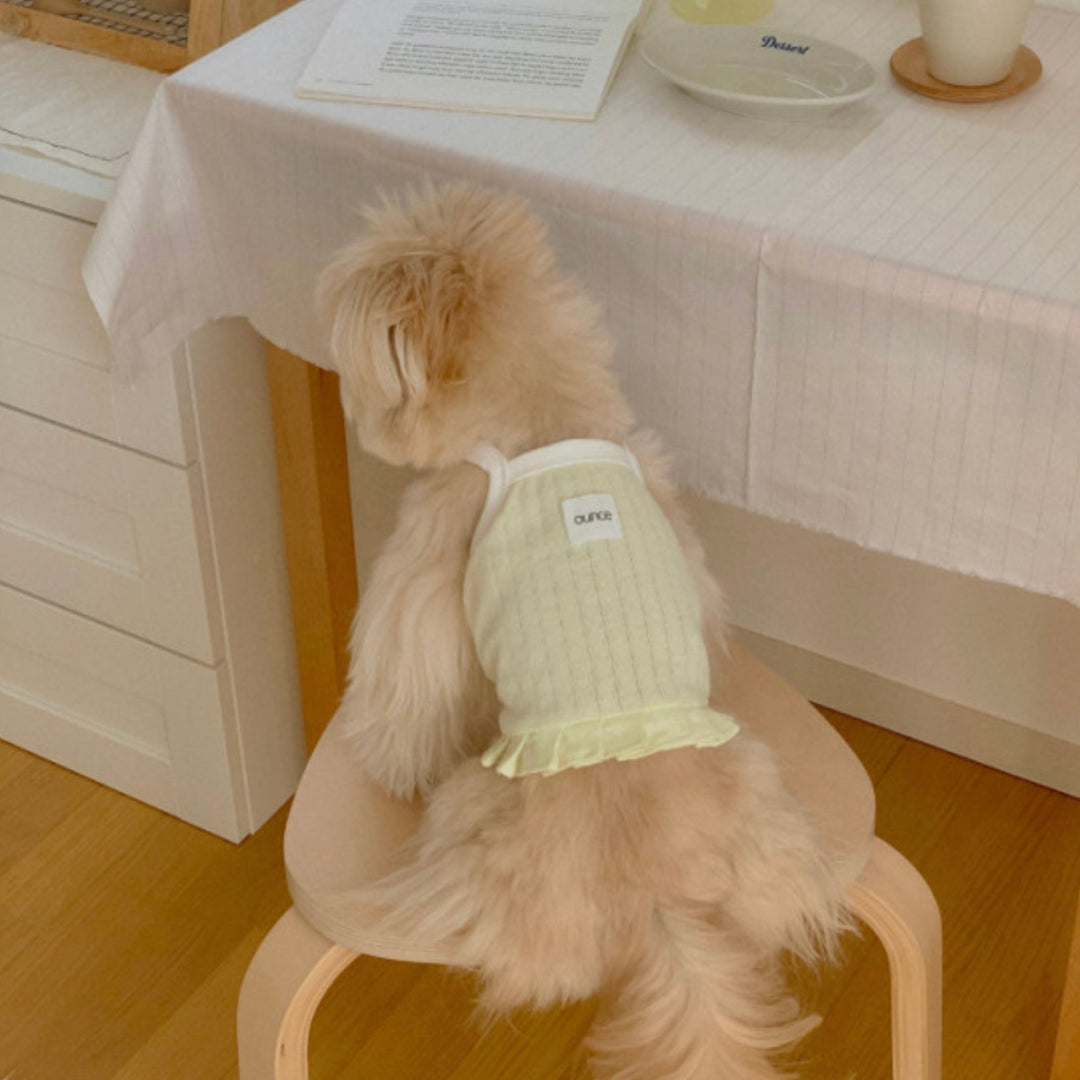 ※予約販売【OUNCE】Milk Frill Crop T（Yellow）