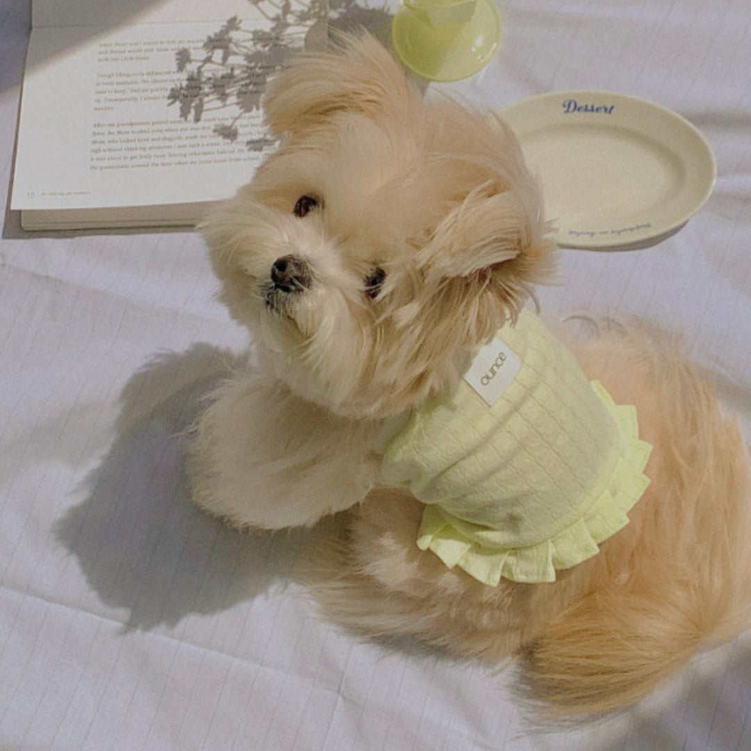 ※予約販売【OUNCE】Milk Frill Crop T（Yellow）
