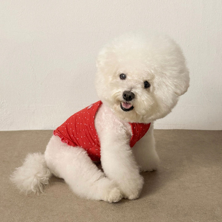 ※予約販売【CRR】Summer Flower Breeze S-T（Red）