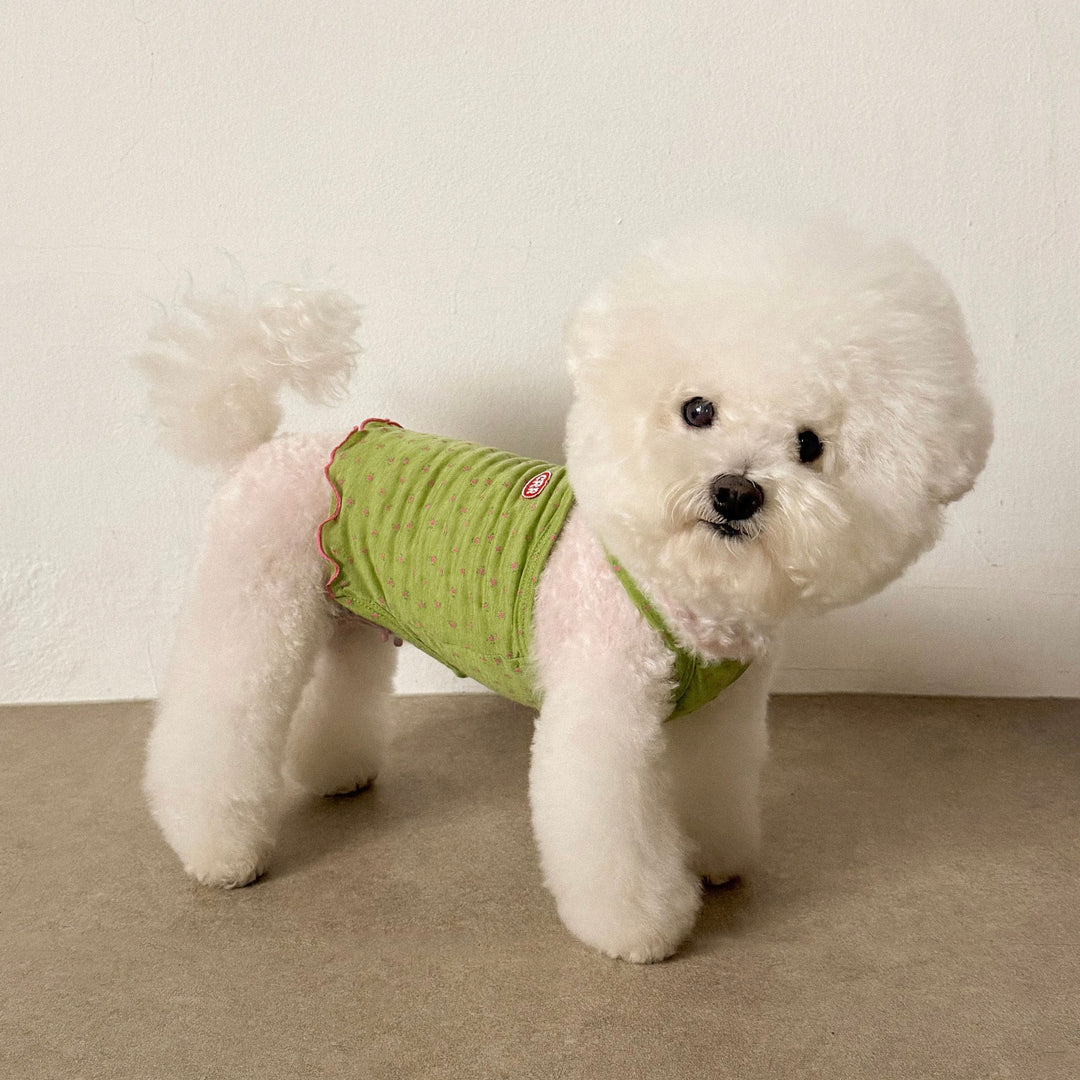 ※予約販売【CRR】Summer Flower Breeze S-T（Green）