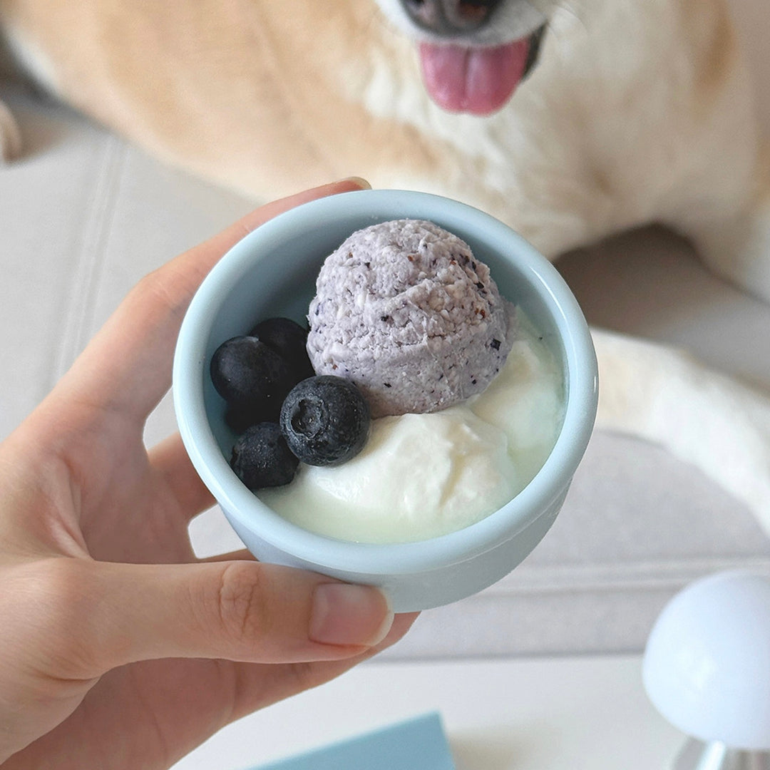 ※予約販売【BRIDGE.DOG】DOG SI RAK - SNACK BOWL（100ml）