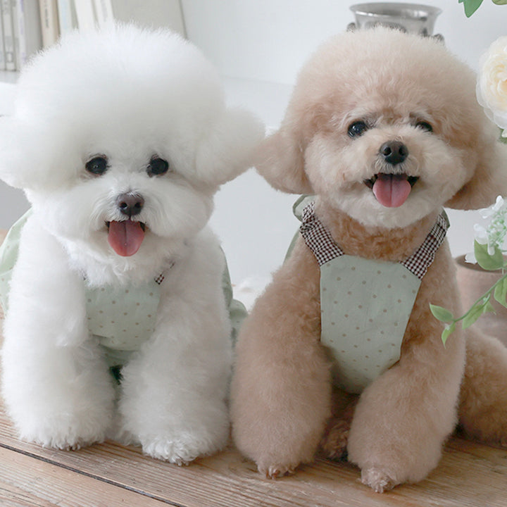 ※予約販売【near by us】Cookie Crop Top（Greentea Choco）