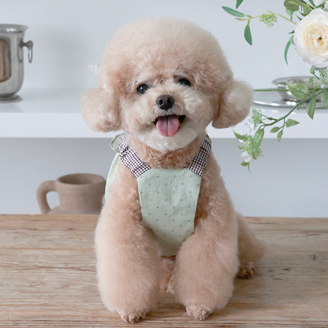 ※予約販売【near by us】Cookie Crop Top（Greentea Choco）