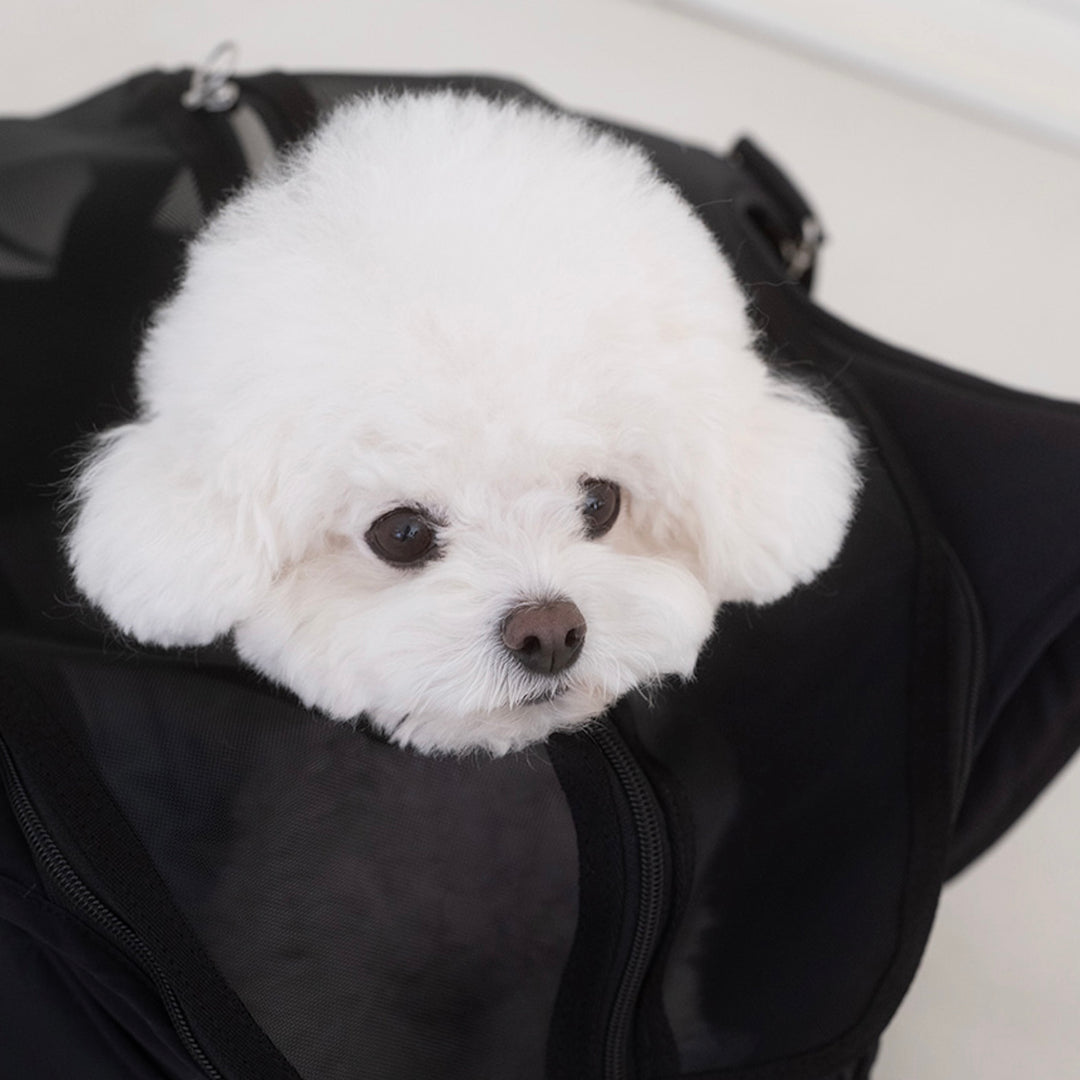 ※予約販売【a tous moments】Lier petbag - Black（Cushion + Shoulder Pad Set）｜犬用バッグ