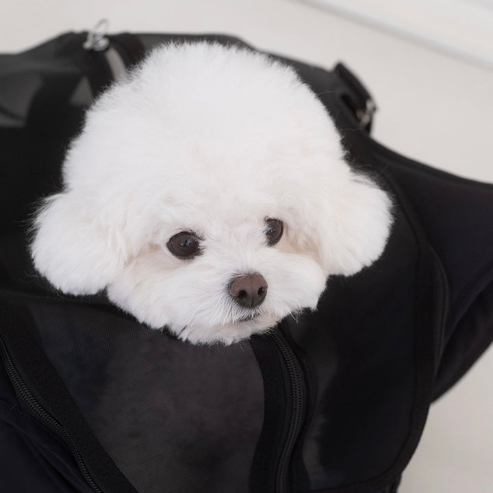 ※予約販売【a tous moments】Lier petbag - Black（Cushion + Shoulder Pad Set）｜犬用バッグ