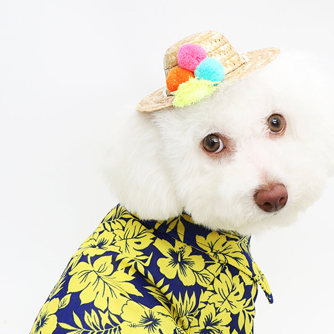 ※予約販売【ITS DOG】A straw hat made of gelato