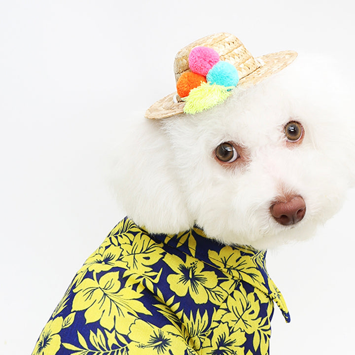 ※予約販売【ITS DOG】A straw hat made of gelato