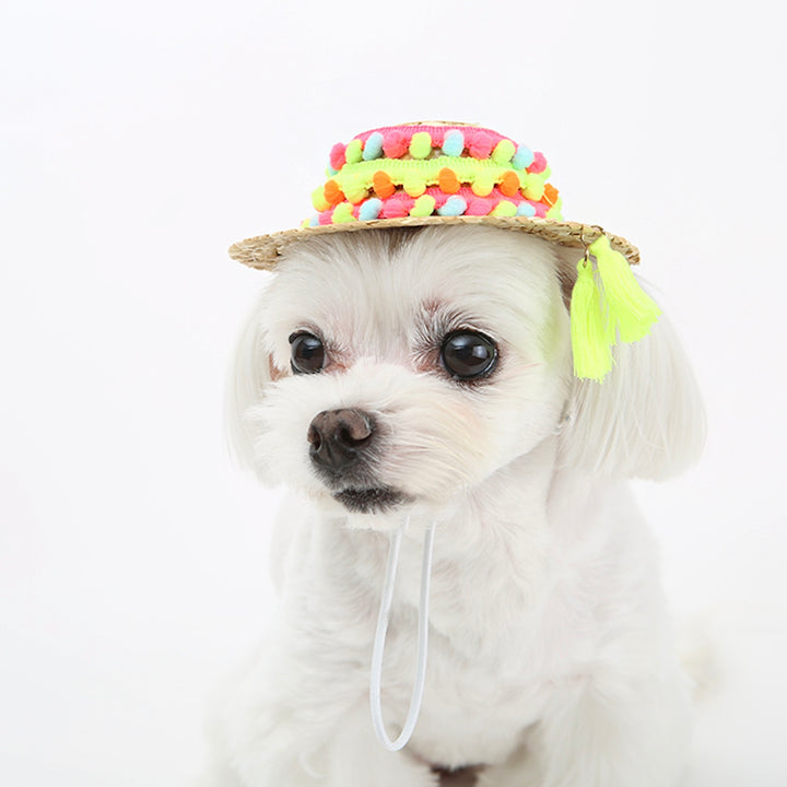 ※予約販売【ITS DOG】An aloha straw hat