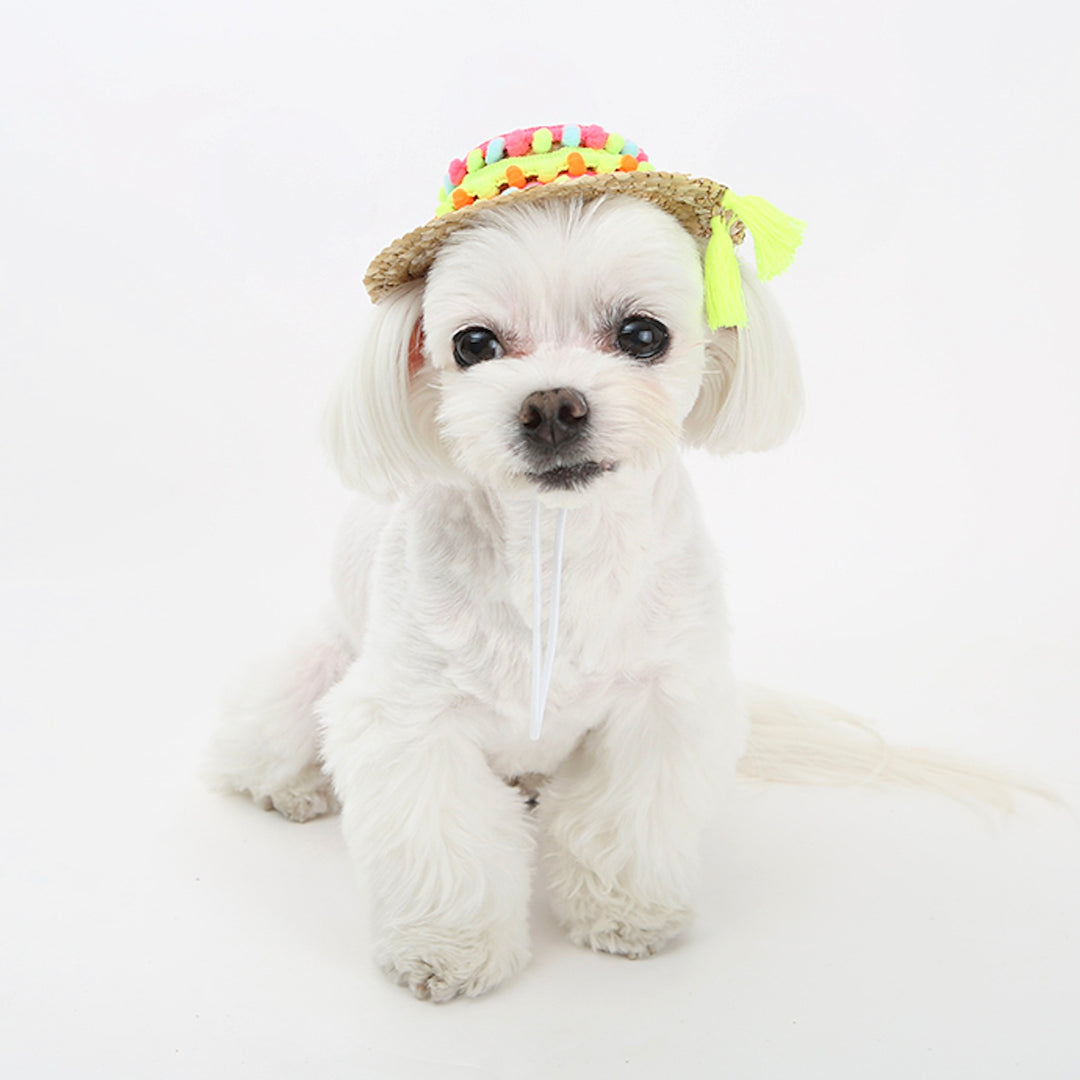 ※予約販売【ITS DOG】An aloha straw hat