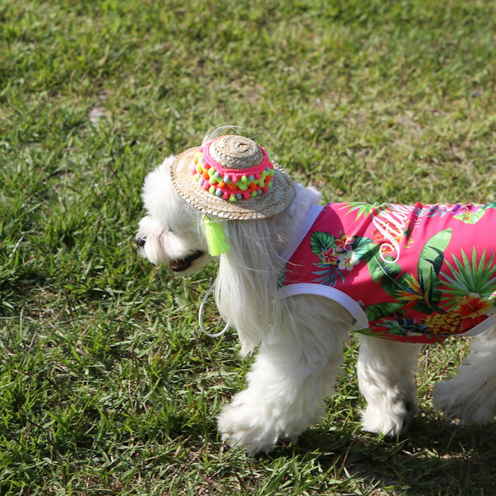 ※予約販売【ITS DOG】An aloha straw hat