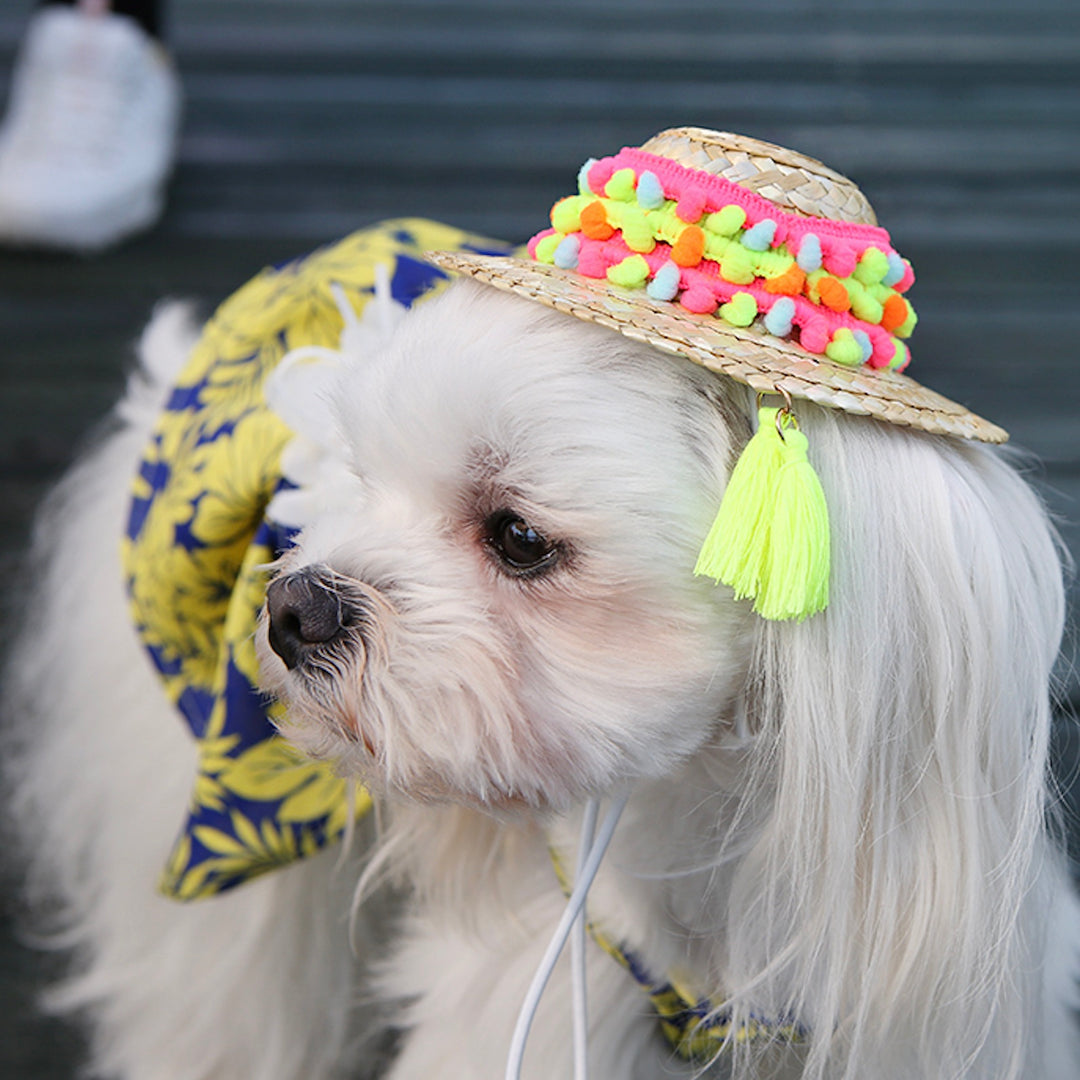 ※予約販売【ITS DOG】An aloha straw hat