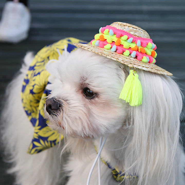 ※予約販売【ITS DOG】An aloha straw hat