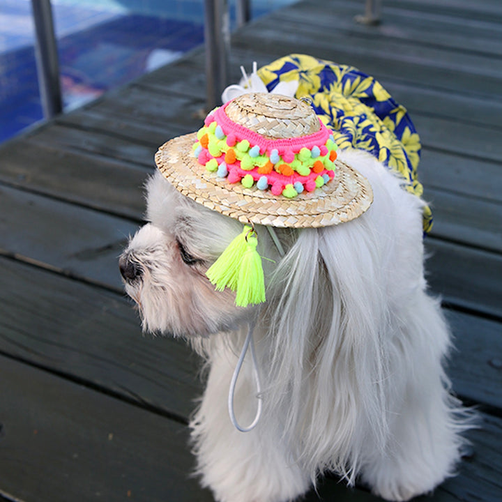 ※予約販売【ITS DOG】An aloha straw hat