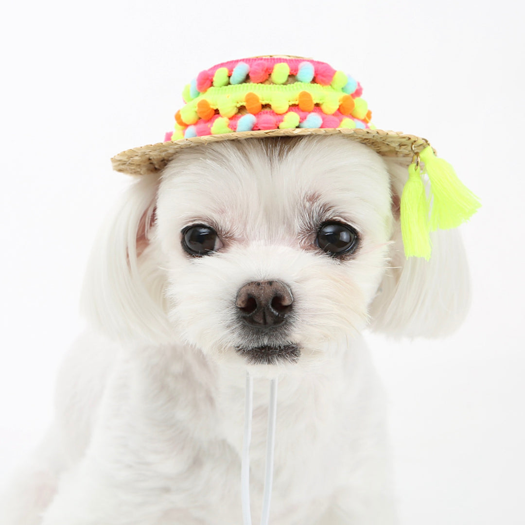 ※予約販売【ITS DOG】An aloha straw hat