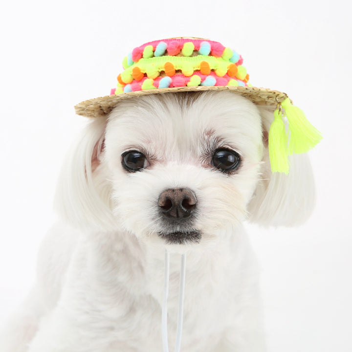 ※予約販売【ITS DOG】An aloha straw hat